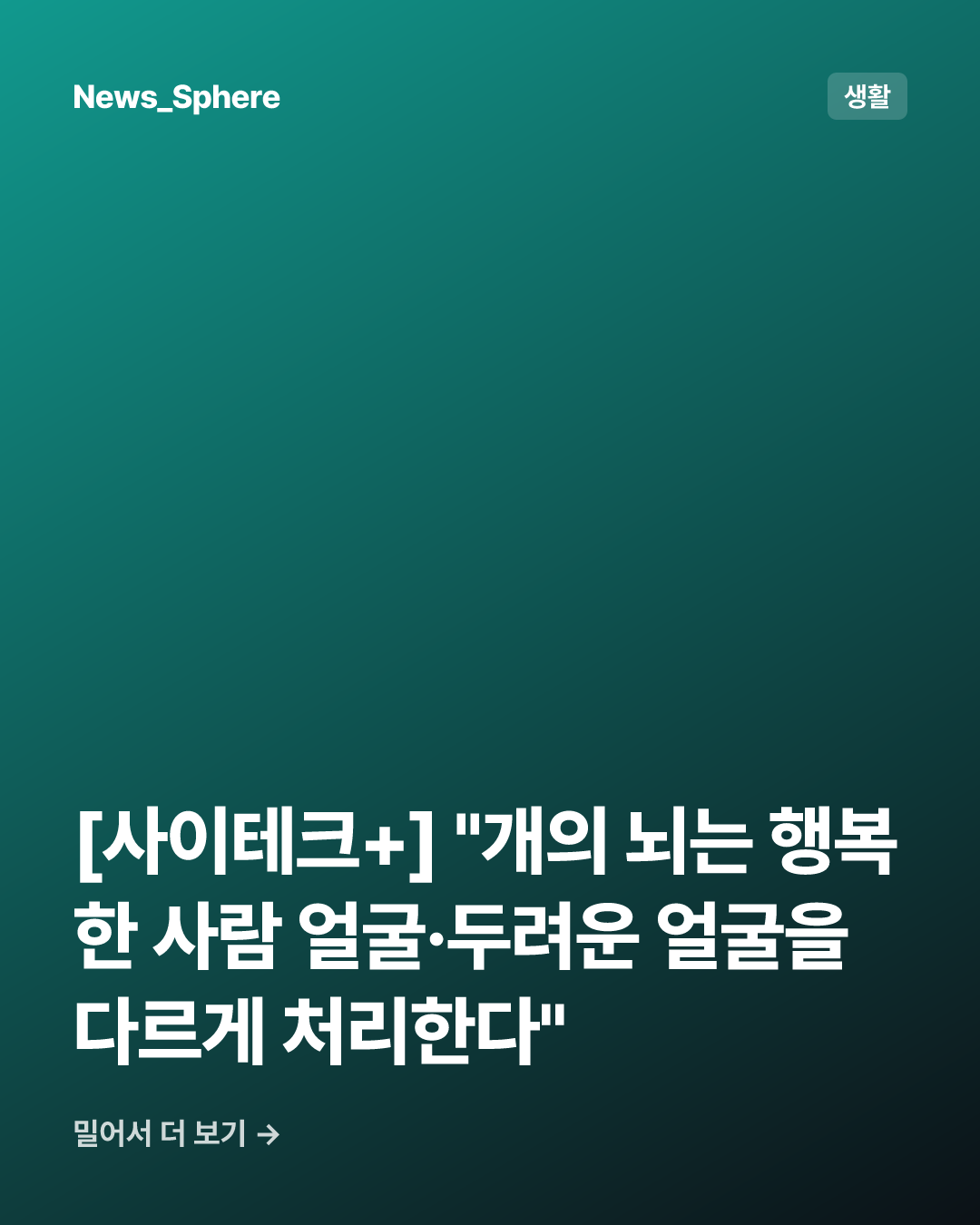 [사이테크+] "개의 뇌는 행복한 사람 얼굴·두려운 얼굴을 다르게 처리한다"